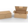 boite carton d'envoie 20x15x10 ( marquette)
